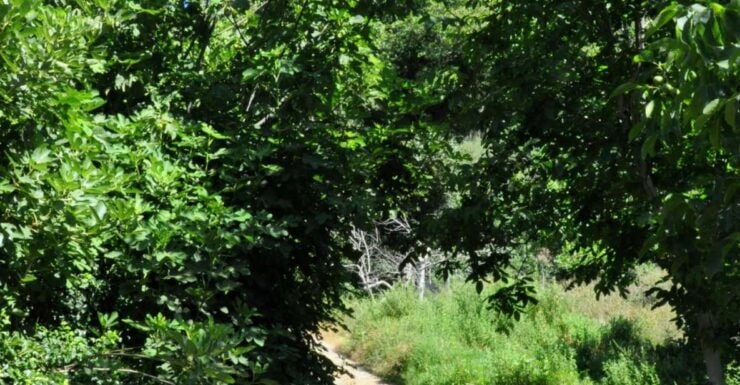 Heraklion: Full Day to Rihti Waterfalls, Mochlos, Azoria - Activity Details