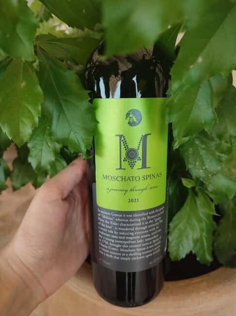 Heraklion: Guided Organic Wine Tasting & Vineyard Tour - An In-Depth Look at the Experience