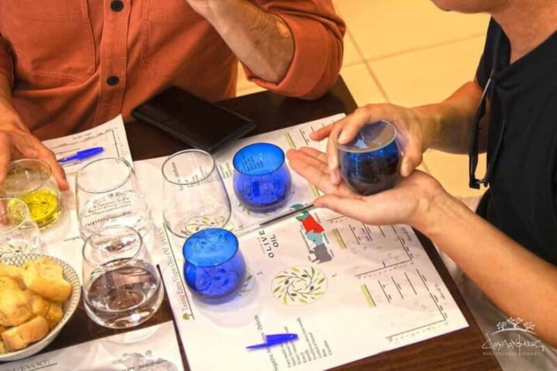 Heraklion: Guided Tasting of 3 Extra Virgin Olive Oil - The Experience in Detail