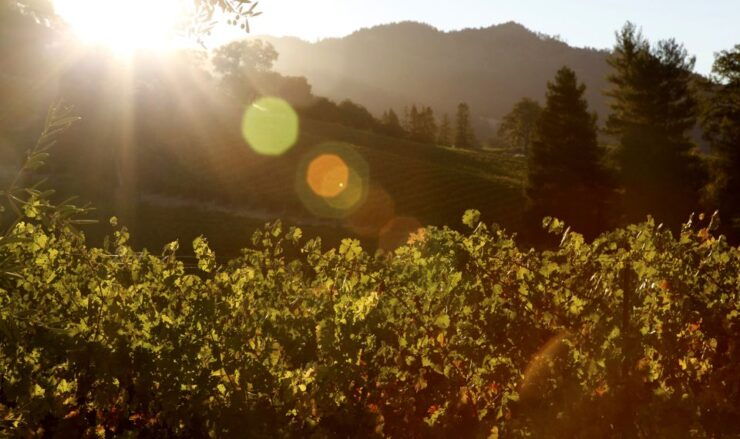 Heraklion: Half Day Semi Private Wine Tour With Tastings - Experience Details
