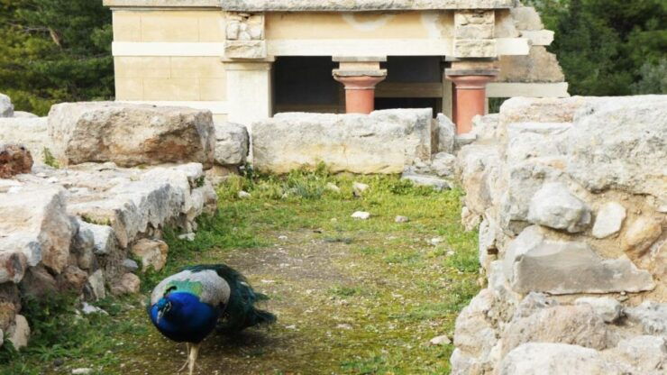 Heraklion: Knossos Palace Self-Guided Treasure Hunt & Tour - Highlights of the Self-Guided Tour