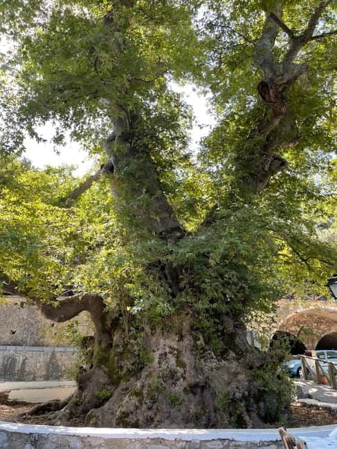 Heraklion: Knossos, Zeus, Villages & Olive Oil Factory Tour - Practical Tips