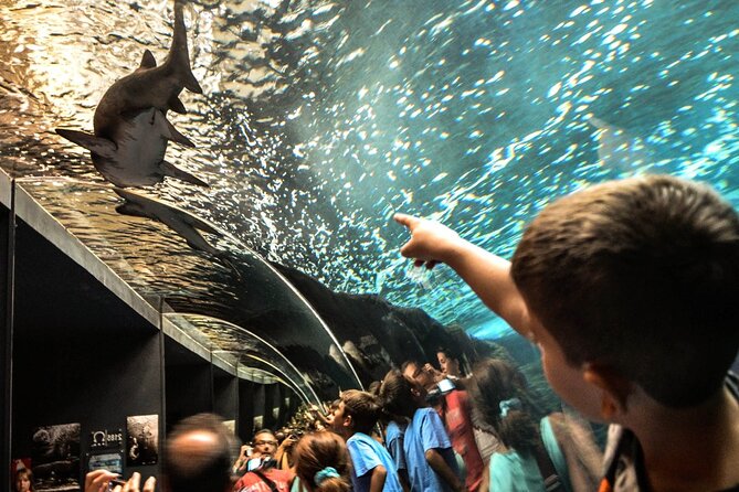 Heraklion - Market & Cretaquarium Tour From Heraklion - Tour Overview