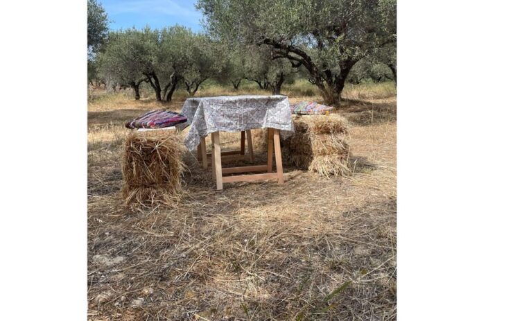 Heraklion :Olive & Dragon Farm Tour & Cretan Farmers Brunch - Good To Know
