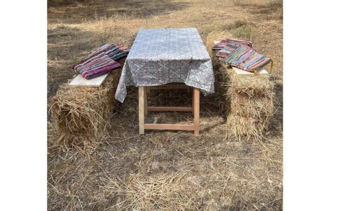 Heraklion :Olive & Dragon Farm Tour & Cretan Farmers Brunch - Olive Grove Visit