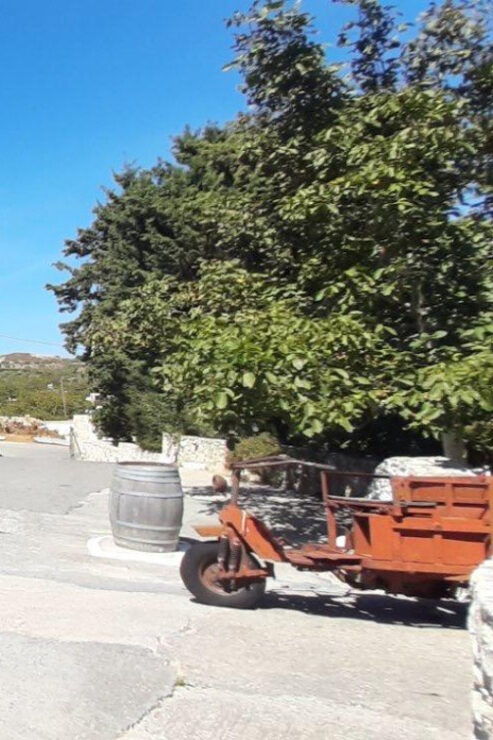 Heraklion: Olive Farm, Winery, and Raki Distillery Tour - Experience Highlights