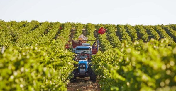 Heraklion: Olive Farm, Winery, and Raki Distillery Tour - Frequently Asked Questions
