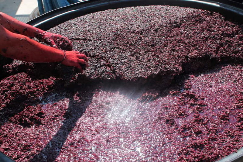 Heraklion: Olive oil and Wine Tour with Lunch - Who Will Love This Tour?