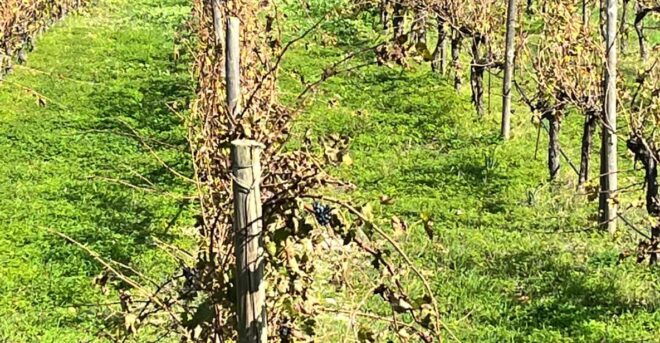 Heraklion: Premium Excursion to Cretes Finest Wineries - Meeting Point