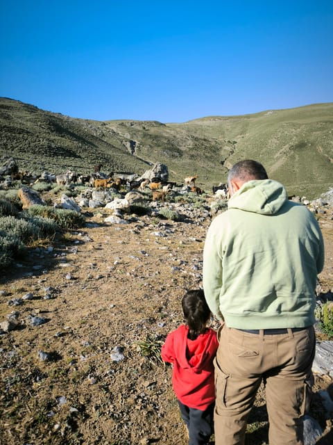 Heraklion: Private Cheesemaking Workshop With a Shepherd - Detailed Itinerary