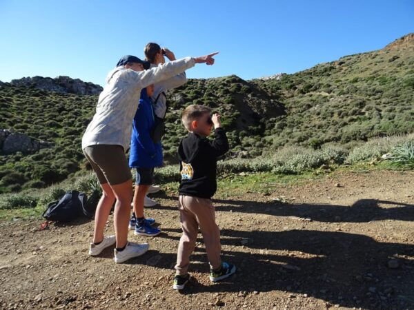 Heraklion: Private Cheesemaking Workshop With a Shepherd - Important Information