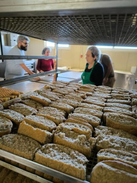 Heraklion: Private Cheesemaking Workshop With a Shepherd - Customer Feedback