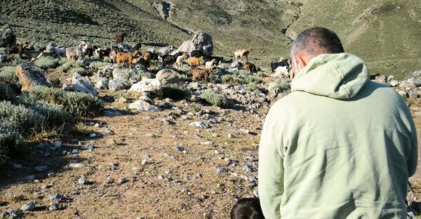 Heraklion: Private Cheesemaking Workshop With a Shepherd - Frequently Asked Questions