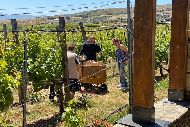 Heraklion Private Half-Day Wine Tasting Tour in Lyrarakis Winery - Transportation and Meeting Details