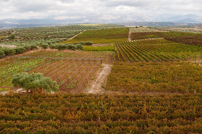 Heraklion Private Half-Day Wine Tasting Tour in Lyrarakis Winery - Traveler Reviews and Ratings
