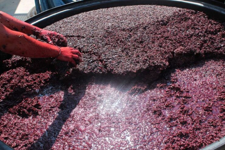 Heraklion: Private SUV Wine Tour With Lunch - Wine Tasting Experience