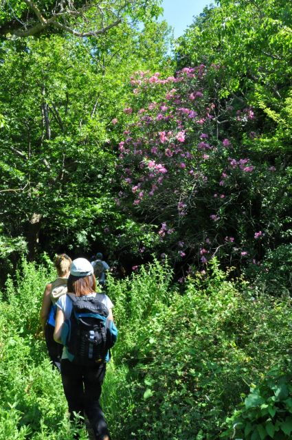 Heraklion: Private Tour to Rihti Waterfalls and Mochlos - Good To Know
