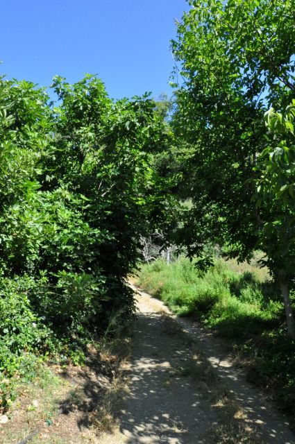 Heraklion: Private Tour to Rihti Waterfalls and Mochlos - Full Description