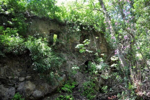 Heraklion: Private Tour to Rihti Waterfalls and Mochlos - Azoria: Oldest Olive Tree in Europe