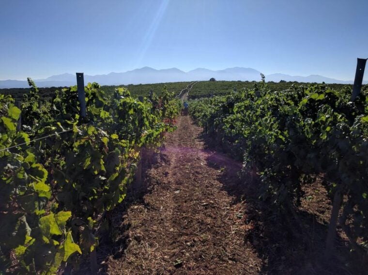 Heraklion: Private Wine tasting & Lunch at Lyrarakis Winery - Who Should Consider This Tour?