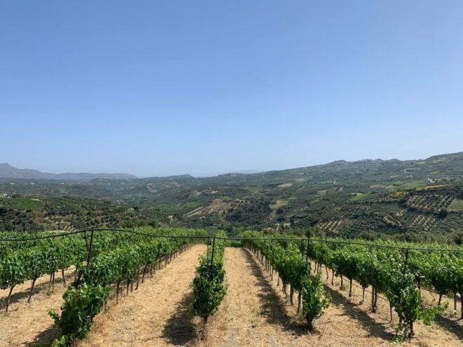 Heraklion: Private Wine Tour of Dafnes Valey - How to Reserve
