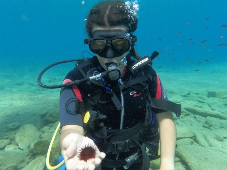 Heraklion: Scuba Diving Experience for Beginners - FAQ