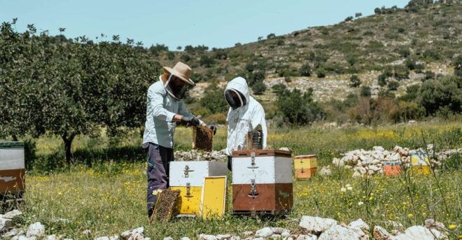 Heraklion: True Crete Melidoni Cave, Secrets of Honey, Olive - The Sum Up