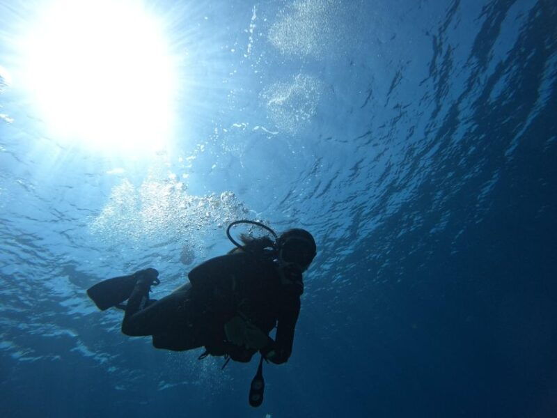 Heraklion: Try Scuba Diving For Beginners (1 dive) - Introduction: A Primer on Crete’s Underwater Adventure