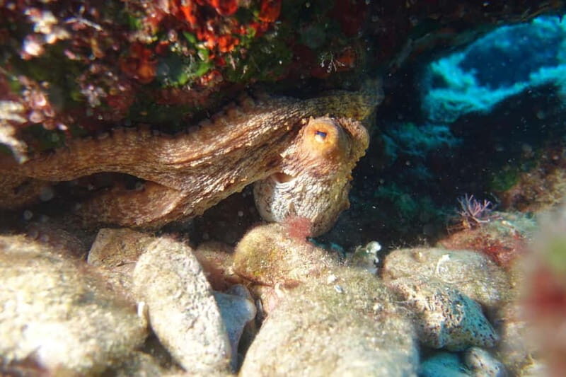 Heraklion: Try Scuba Diving - Final Thoughts