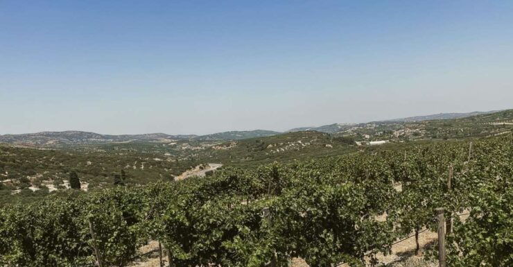 Heraklion Wine Country Tour - Cancellation and Payment