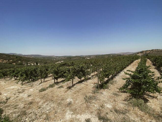 Heraklion Wine Country Tour - Tour Description