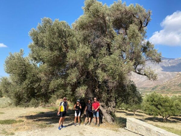 Heraklion: Wine Tasting E-Bike Tour - Important Information