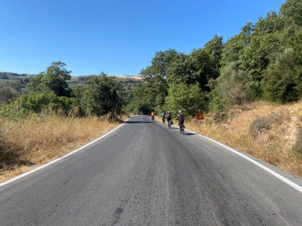 Heraklion: Wine Tasting E-Bike Tour - Background