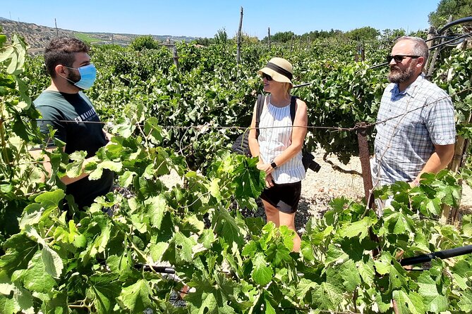 Heraklion Wine Tour & Cretan Meze Lunch - Directions