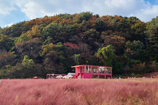 Herb Island and Sanjung Lake and Bidulginang Water Falls - Who Would Enjoy This Tour?