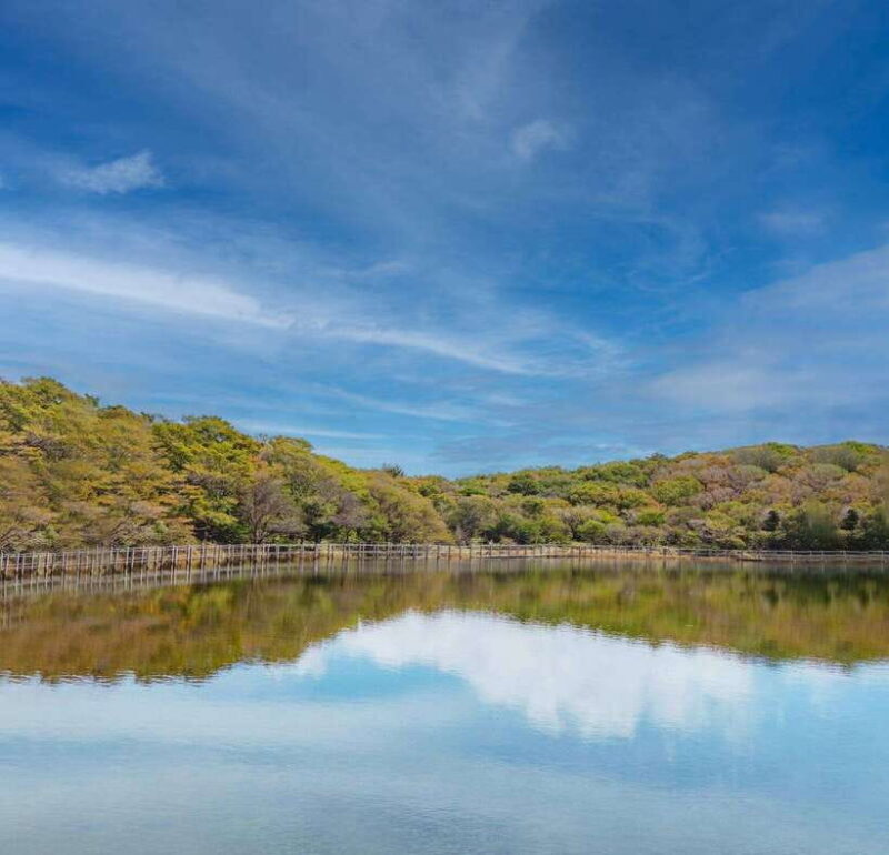 Herb Island : Sanjung Lake : Strawberry : Bidulginang Tour - Good To Know