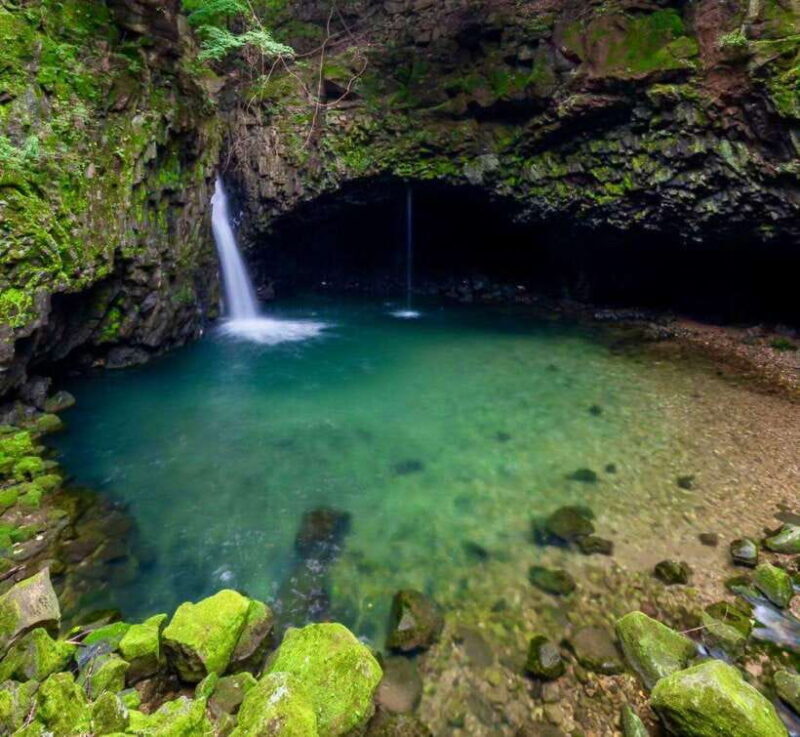 Herb Island : Sanjung Lake : Strawberry : Bidulginang Tour - Practical Tips for Making the Most of Your Tour