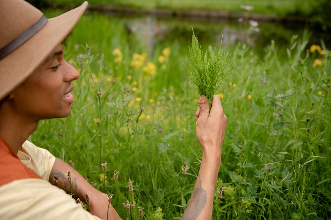 Herbal Medicine Walk - Essential Equipment for Herbal Medicine Walks