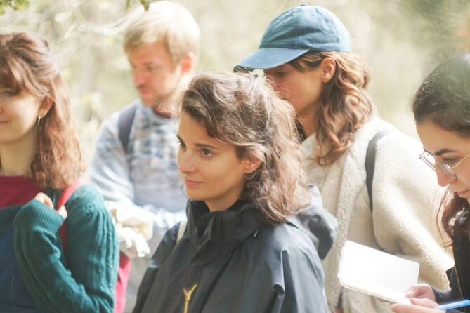 Herbal Medicine Walk - Safety Tips for Herbal Medicine Walks