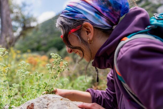 Herbalism and Wildlife (Private Group Experience) - Transportation Options