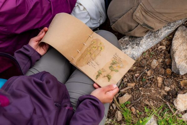 Herbalism and Wildlife (Private Group Experience) - Frequently Asked Questions