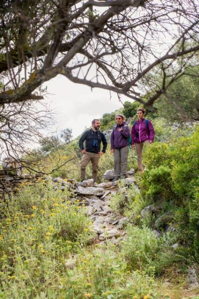 Herbalism and Wildlife (Small Group Experience) - Nature Connection Activities