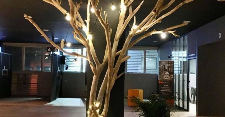 Herblay Activity-Propagation: TOP SURVIVORS - Key Points