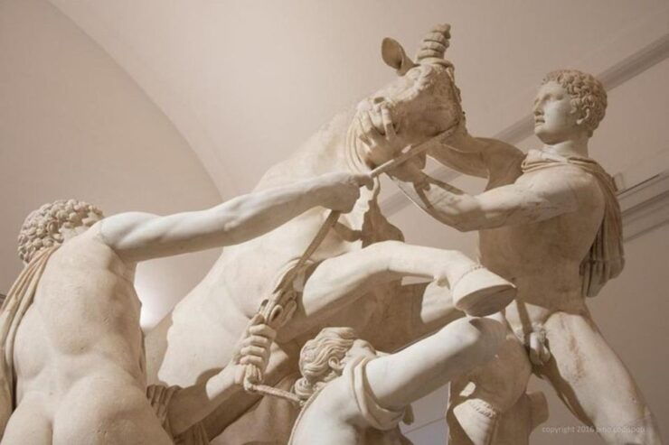 Herculaneum and Archeological Museum of Naples Private Tour - Activity Description