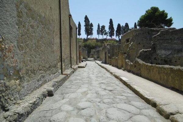 Herculaneum and Archeological Museum of Naples Private Tour - The Sum Up