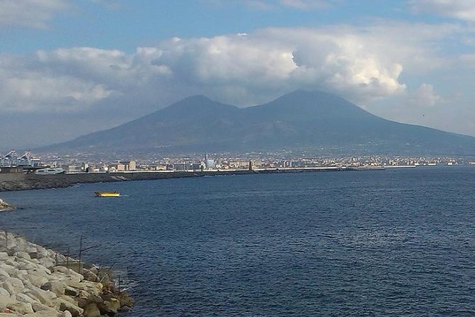Herculaneum and Mount Vesuvius With Driver Private Shore Excursion From Naples - Booking Confirmation