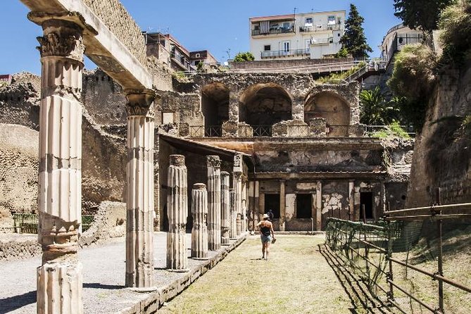 Herculaneum and Mount Vesuvius With Driver Private Shore Excursion From Naples - Reservation Flexibility