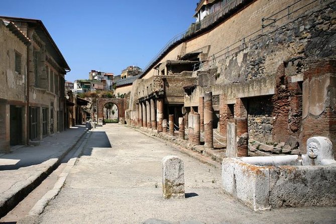 Herculaneum and Mount Vesuvius With Driver Private Shore Excursion From Naples - Frequently Asked Questions
