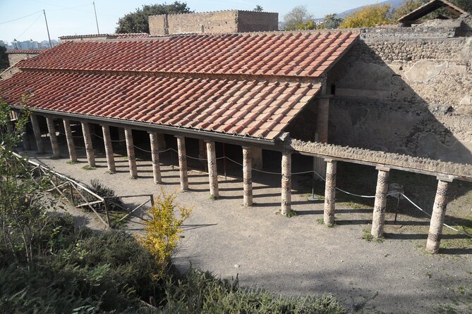 Herculaneum and Pompeii With Guide - Additional Information