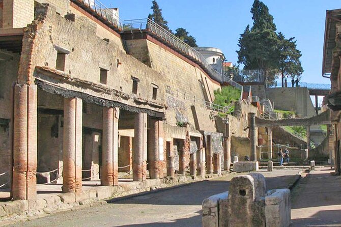 Herculaneum and Pompeii With Guide - The Sum Up
